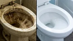 Skinande toalett utan dyra kemikalier: 5 budgetvänliga sätt att snabbt få bort svåra fläckar