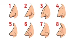 Vad formen på din näsa säger om din personlighet: ett snabbt personlighetstest